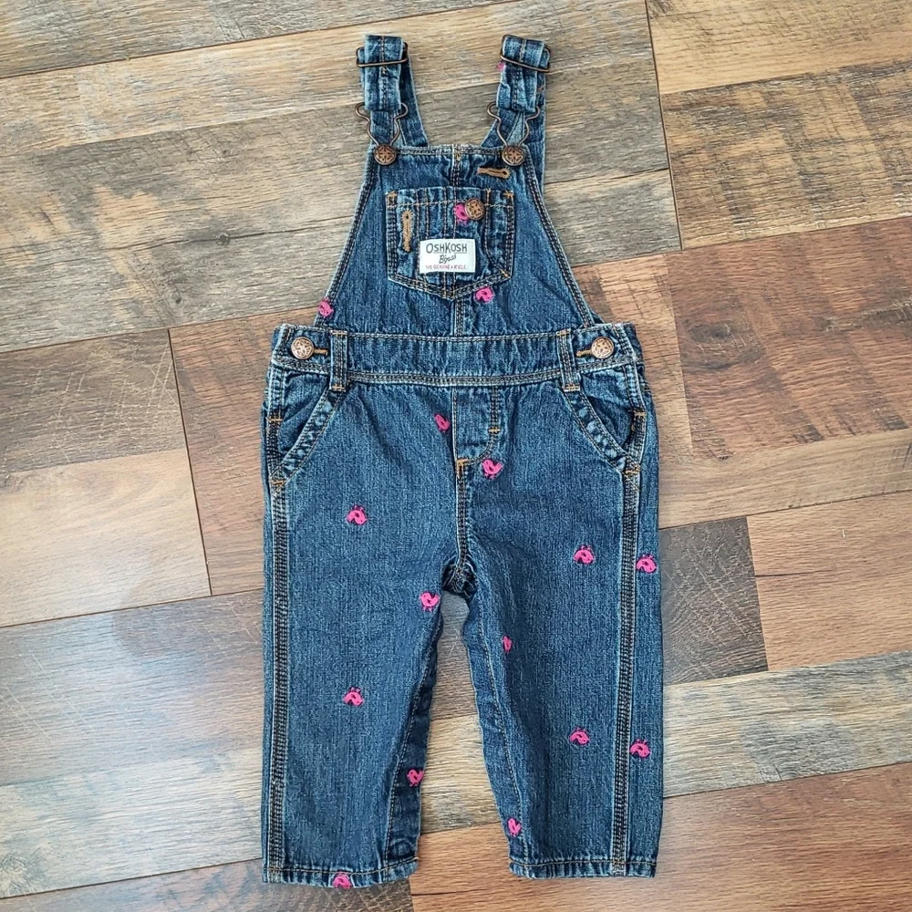Oshkosh B'gosh Blue Jean Overalls With Pink Embroidered Birds, Size 9 Months